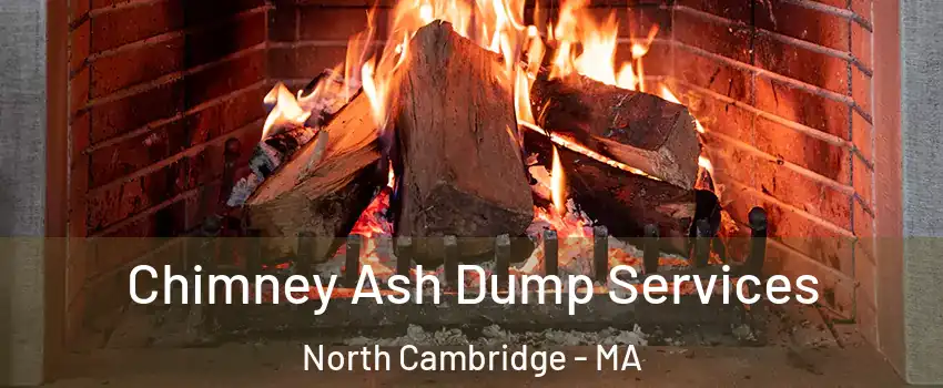 Chimney Ash Dump Services North Cambridge - MA