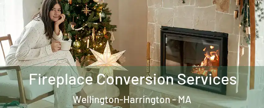 Fireplace Conversion Services Wellington-Harrington - MA