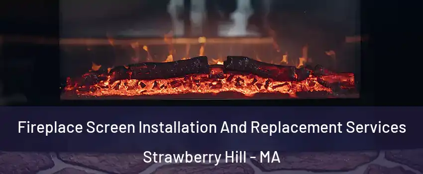 Fireplace Screen Installation And Replacement Services Strawberry Hill - MA