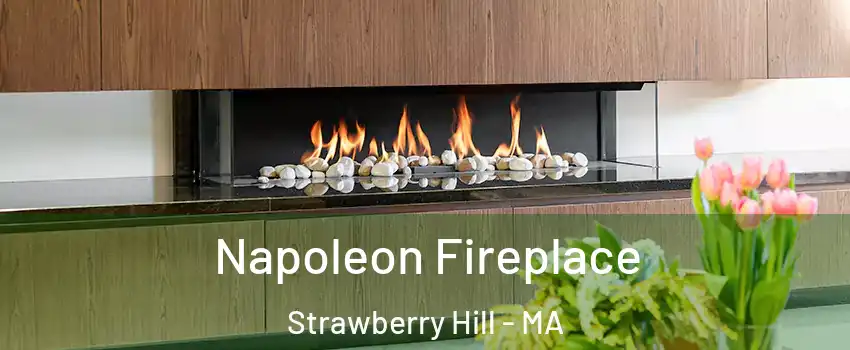 Napoleon Fireplace Strawberry Hill - MA